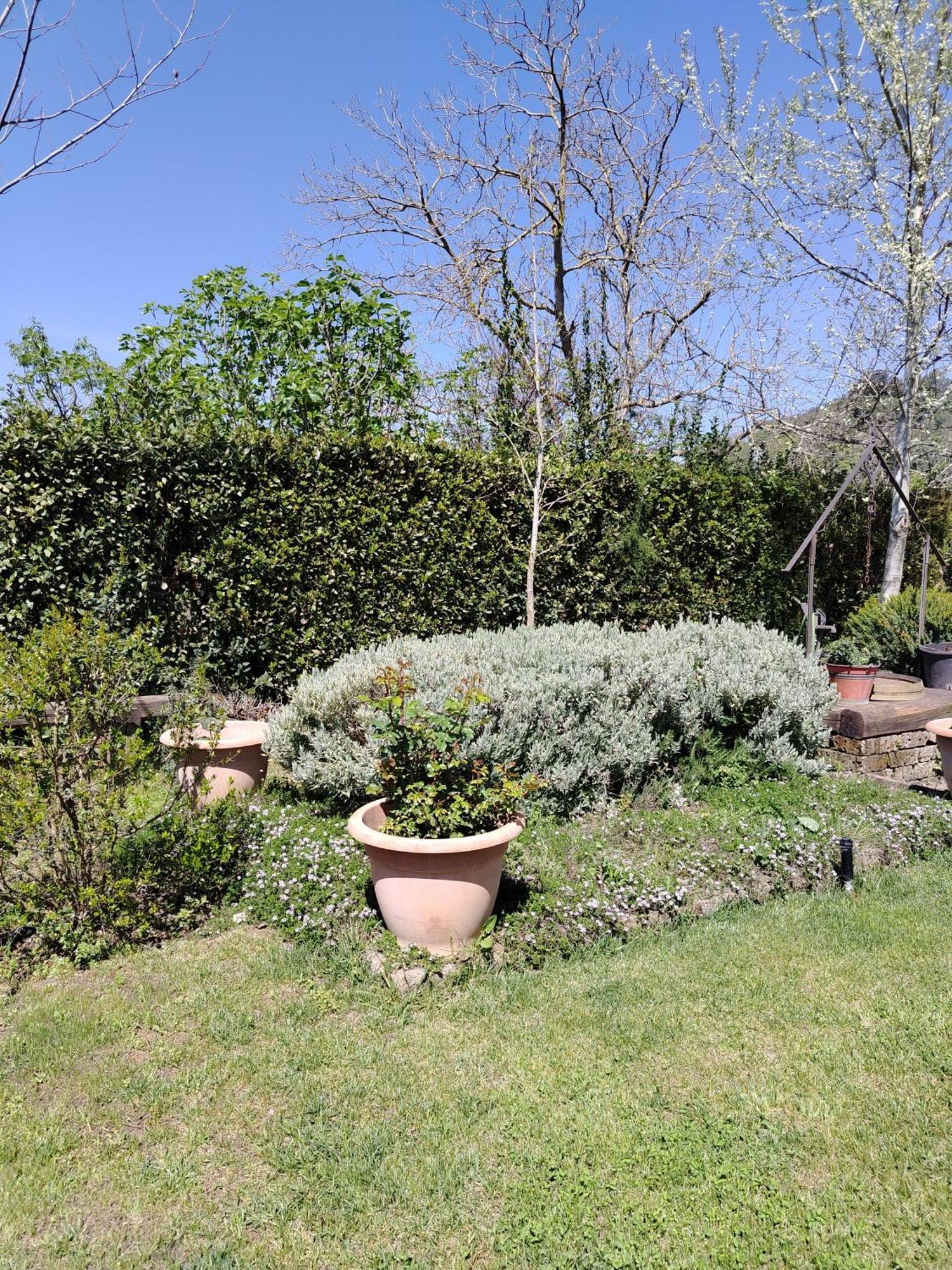 Guest House Romana Vecchia Monticchio  Bagian luar foto
